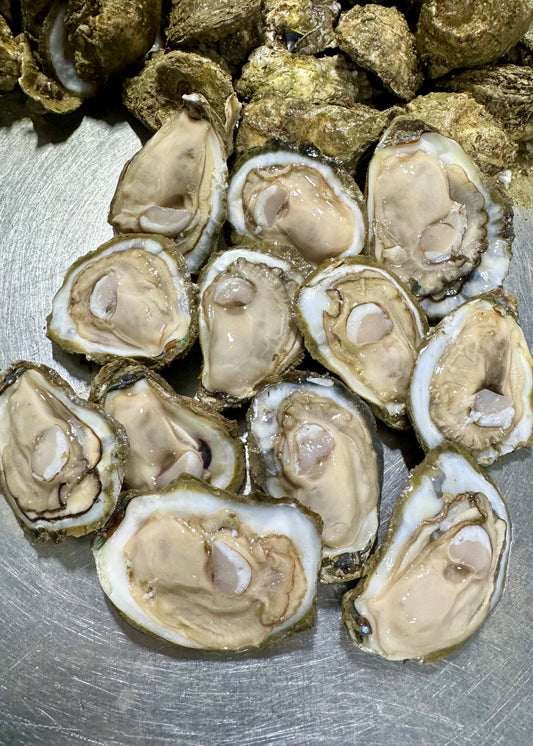 Southern Maryland Oysters